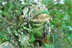 Titan 3D Leafy Face Mask Mossy Oak, RealTree| Pattern| Timber