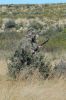 Next Generation Ghillie Camouflage Kit